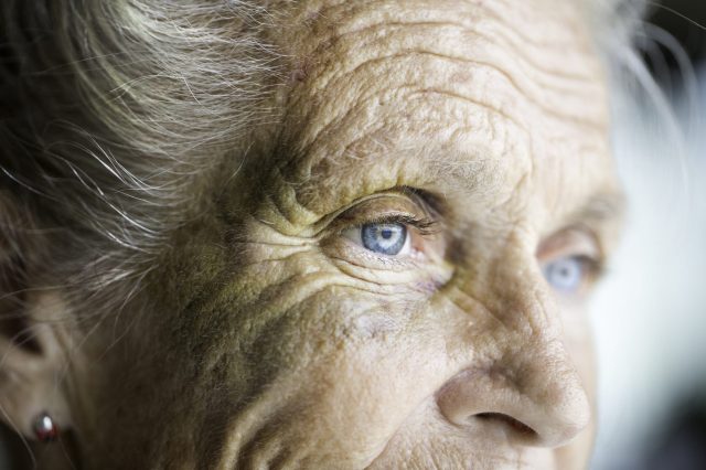 Can elder mediation prevent abuse?