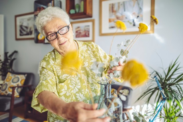 Denmark’s ageing in place success story