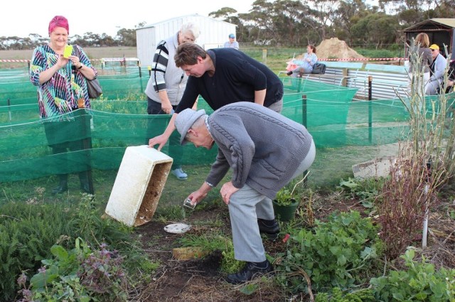 Snail farm helps people with dementia