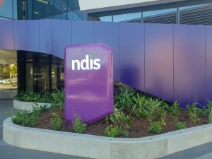 The federal government has provided an additional $13.2 billion over four years for NDIS disability supports.