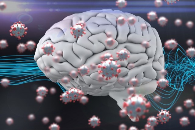 blue-fiber-and-3d-human-brain-with-coronavirus-covid19-cells-floating-picture-id1266971331