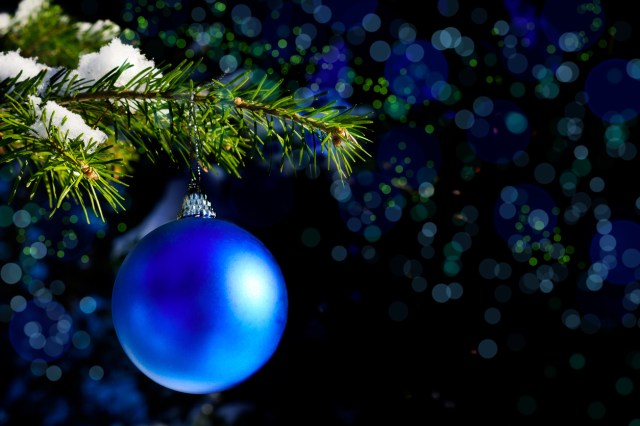 Forest Christmas tree branch with blue ornament