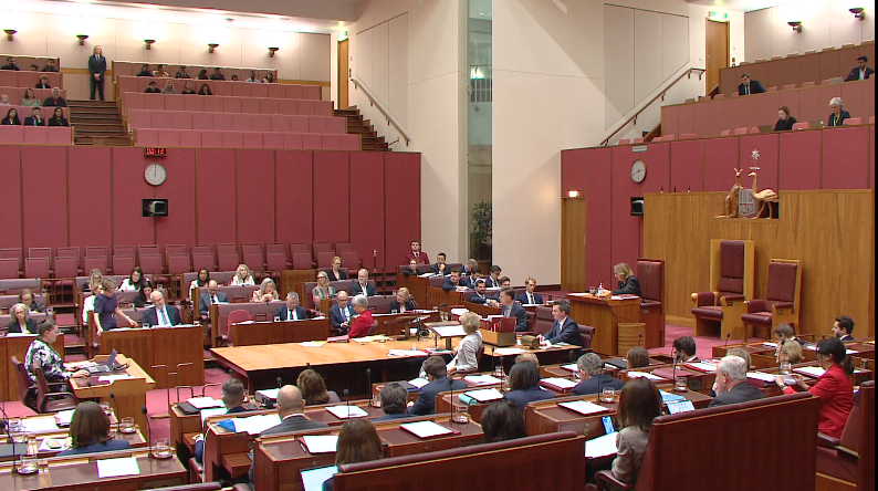 Peak taking active role in Senate home care inquiry